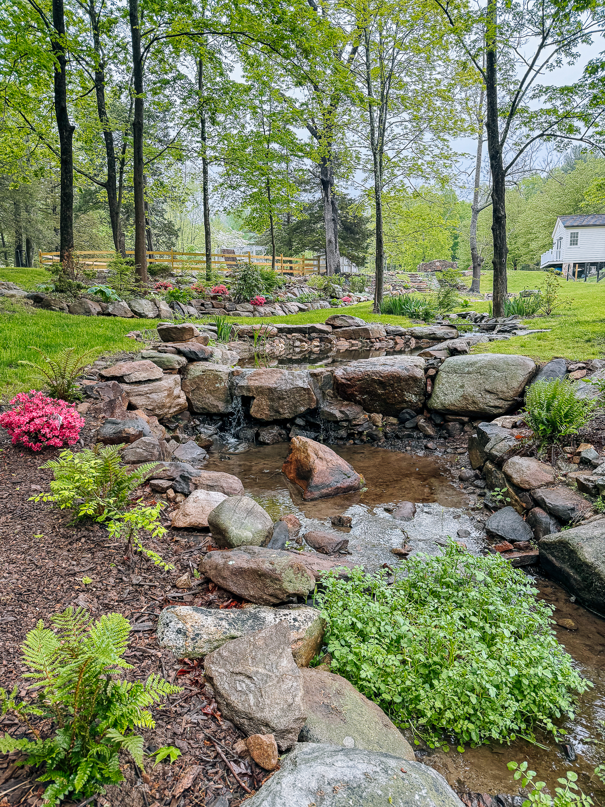 The Woks of Life 2025 garden update